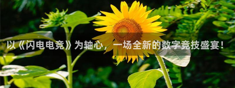 88看球直播高清：以《闪电电竞》为轴心，一场全新的数字竞技盛宴！