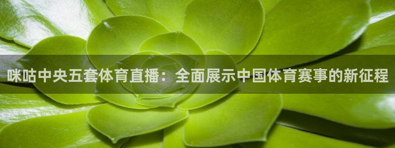 nba88看球直播免费直播：咪咕中央五套体育直播：全面展示中国体育赛事的新征程