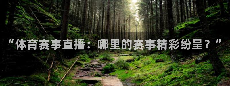 88看球网免费nba直播吧：“体育赛事直播：哪里的赛事精彩纷呈？”