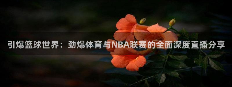 nba88看球在线直播