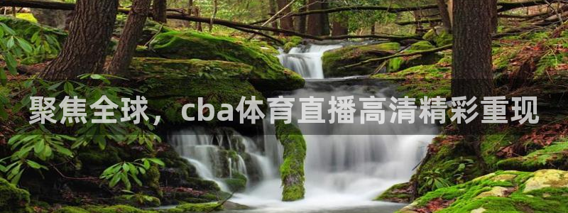 nba88看球直播在线观看：聚焦全球，cba体育直播高清精彩重现