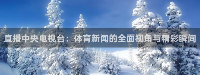 88看球nba免费直播：直播中央电视台：体育新闻的全面视角与精彩瞬间