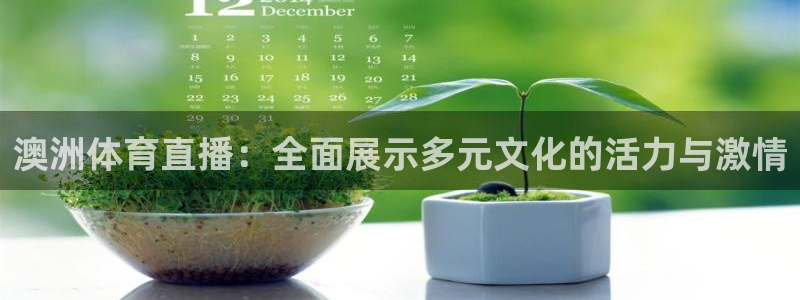 88看球直播入口：澳洲体育直播：全面展示多元文化的活力与激情